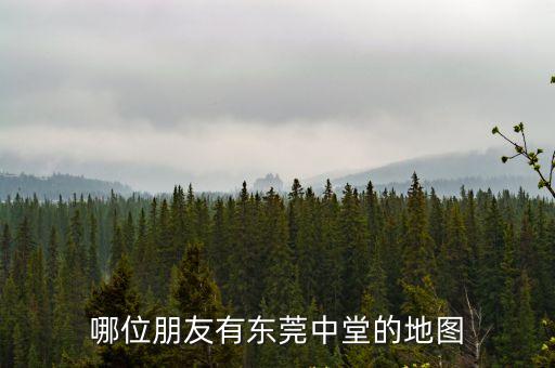 東莞中村規(guī)劃圖，哪位朋友有東莞中堂的地圖