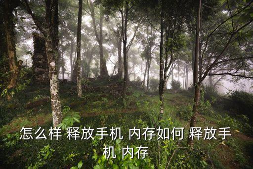 釋放內存,點擊手機管家app進入下個步驟