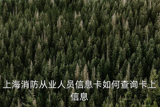 上海消防從業人員信息卡如何查詢卡上信息