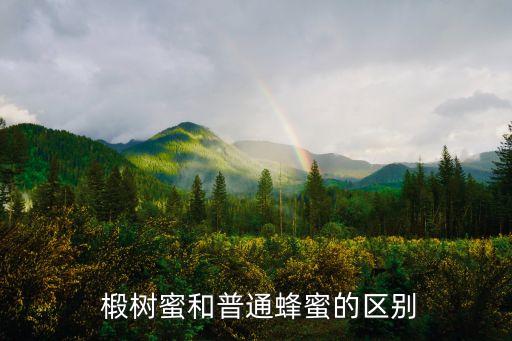  椴樹蜜和普通蜂蜜的區(qū)別
