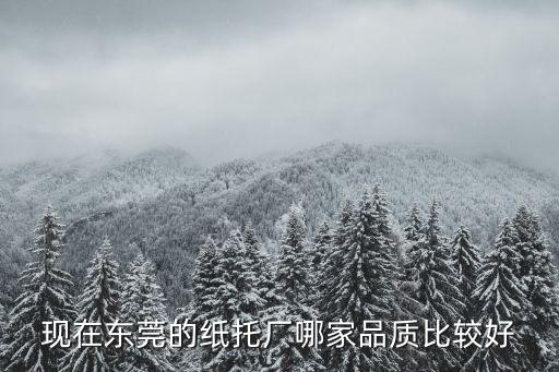 現(xiàn)在東莞的紙托廠哪家品質(zhì)比較好