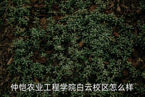 仲愷農(nóng)業(yè)工程學(xué)院白云校區(qū)怎么樣