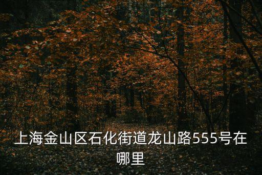 上海市石龍路555號郵編，上海金山區(qū)石化街道龍山路555號在哪里