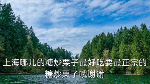 上海哪兒的糖炒栗子最好吃要最正宗的糖炒栗子哦謝謝