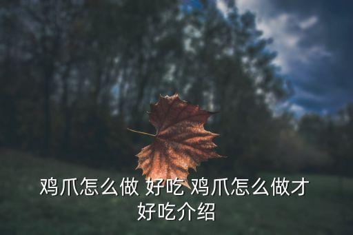  雞爪怎么做 好吃 雞爪怎么做才 好吃介紹