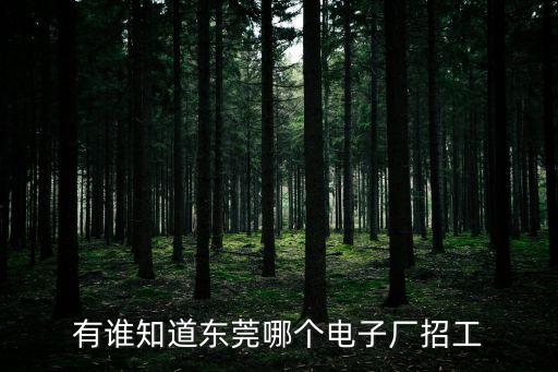有誰知道東莞哪個電子廠招工