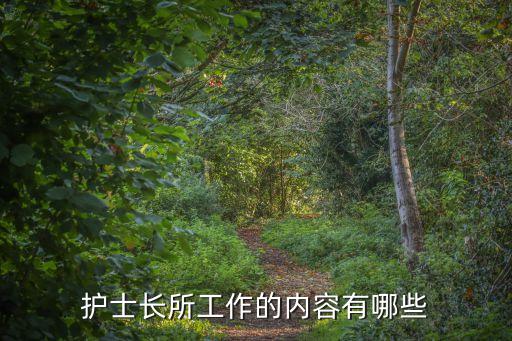 護(hù)士長工作手冊，護(hù)士長所工作的內(nèi)容有哪些