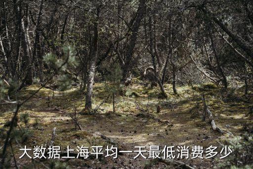 上海市基本生活費，上海一個月生活費要多少