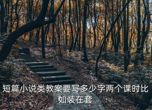 短篇小說類教案要寫多少字兩個課時比如裝在套