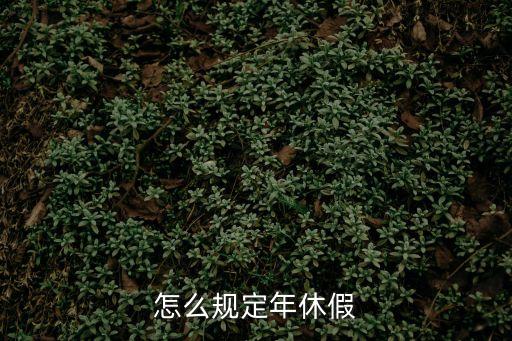 怎么規定年休假