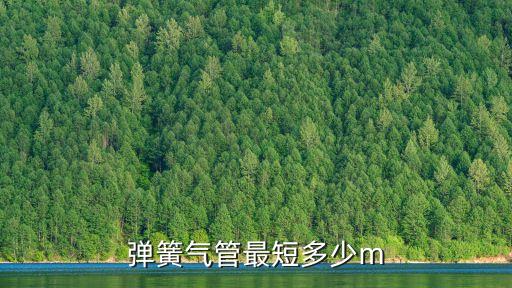 彈簧氣管最短多少m