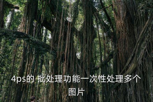 圖片批處理,如何一鍵處理多圖?方便又快速!