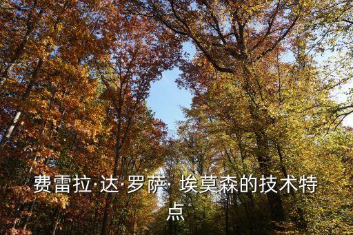 費雷拉·達·羅薩· 埃莫森的技術特點