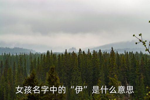 女孩名字中的“伊”是什么意思