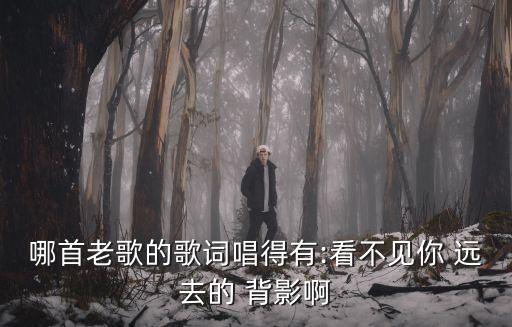 遠去的背影,如果你愿意我愿意聽從你的聲音