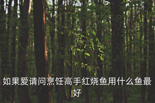 如果愛(ài)請(qǐng)問(wèn)烹飪高手紅燒魚(yú)用什么魚(yú)最好