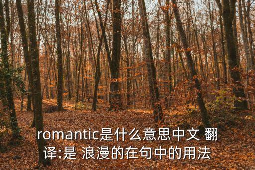 浪漫翻譯,浪漫是音譯的演變希望通過譯文傳達意思