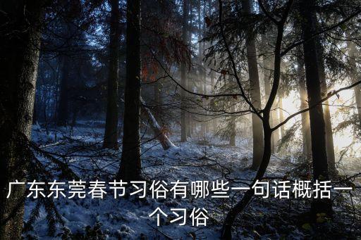 東莞過大年的習(xí)俗，廣東東莞春節(jié)習(xí)俗有哪些一句話概括一個(gè)習(xí)俗