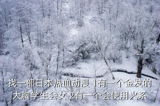 找一部日本熱血動漫 1有一個金發的大胸學生會女 2有一個會使用火系