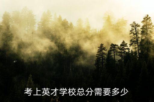 東莞英才學校高考分數，2013年東莞新世紀英才學校錄取的最低分數是多少