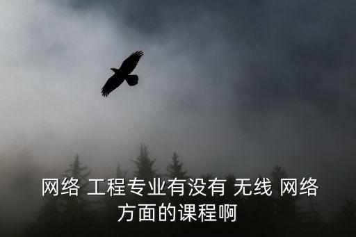  網(wǎng)絡(luò) 工程專業(yè)有沒有 無線 網(wǎng)絡(luò)方面的課程啊