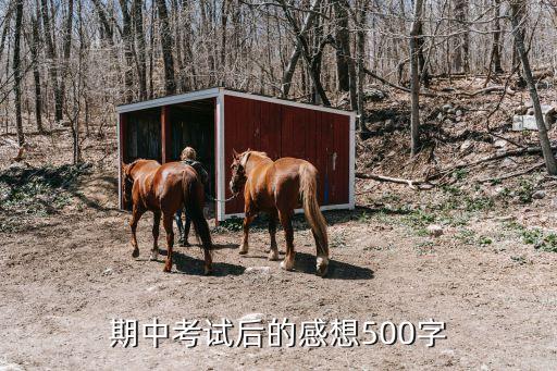 期中考試后的感受，期中考試后的感想200字以后怎樣做