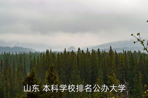 山東本科院校,山東一些公立大學分數不高實力不錯