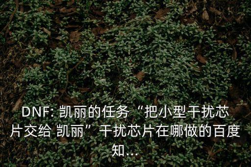 DNF: 凱麗的任務“把小型干擾芯片交給 凱麗”干擾芯片在哪做的百度知...