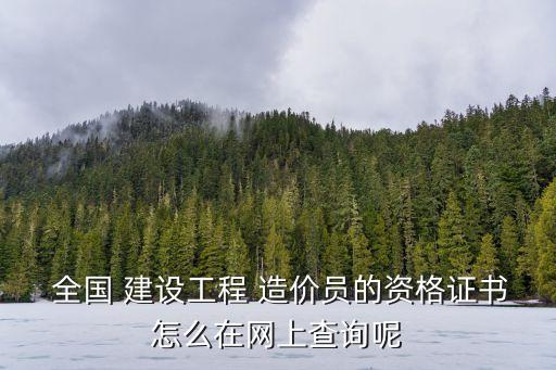  全國(guó) 建設(shè)工程 造價(jià)員的資格證書怎么在網(wǎng)上查詢呢