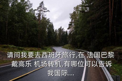 法國戴高樂機場,巴黎往返戴高樂和奧利機場航班多達三個