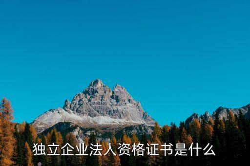 獨立法人資格，獨立企業法人資格證書是什么