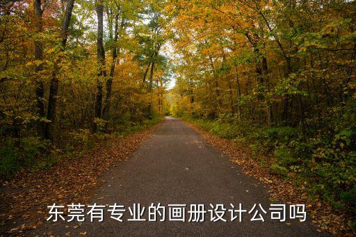 東莞有專業的畫冊設計公司嗎