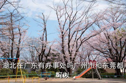 湖北在廣東有辦事處嗎廣州市和東莞都可以