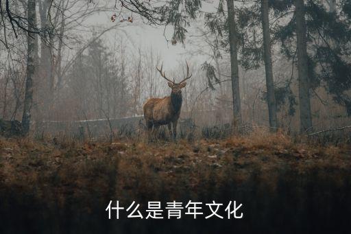 青年文化，青少年掌握的文化知識有哪些
