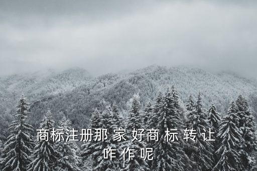 東莞商標轉(zhuǎn)讓哪家優(yōu)惠，請問一下中藝商標網(wǎng)的商標轉(zhuǎn)讓優(yōu)惠嗎