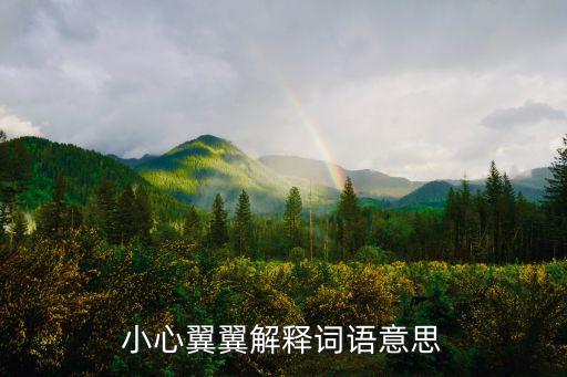 小心翼翼解釋詞語意思
