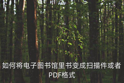 如何將電子圖書館里書變成掃描件或者PDF格式