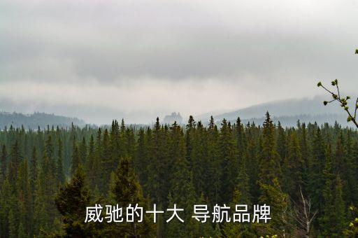 品牌導(dǎo)航,關(guān)注品牌首選飛歌導(dǎo)航領(lǐng)域四大類別分布