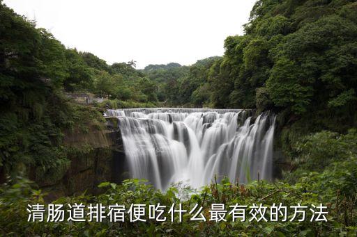 清腸道排宿便最有效的方法，排宿便清腸道的方法有哪些