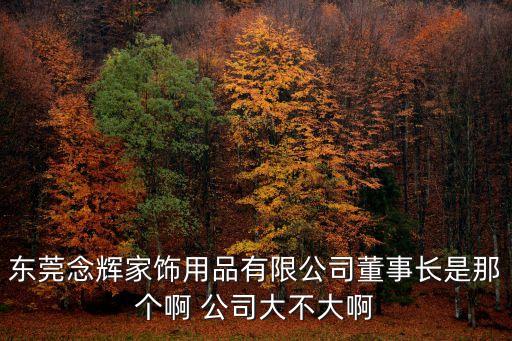 東莞念輝家飾用品有限公司董事長是那個啊 公司大不大啊