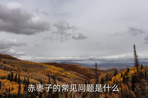 赤棗子，赤棗子的常見問題是什么