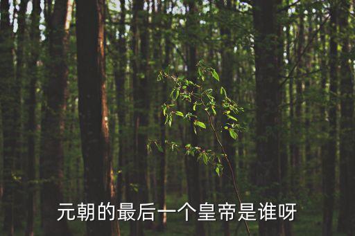 元朝最后一個皇帝，元朝最后一位皇帝是誰