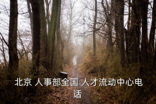  北京 人事部全國 人才流動中心電話