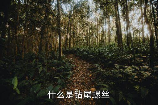 東莞圓頭華司鉆尾螺絲，鉆尾螺絲批發(fā)哪家好