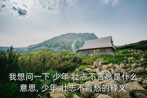 我想問(wèn)一下 少年 壯志不言愁是什么意思, 少年 壯志不言愁的釋義