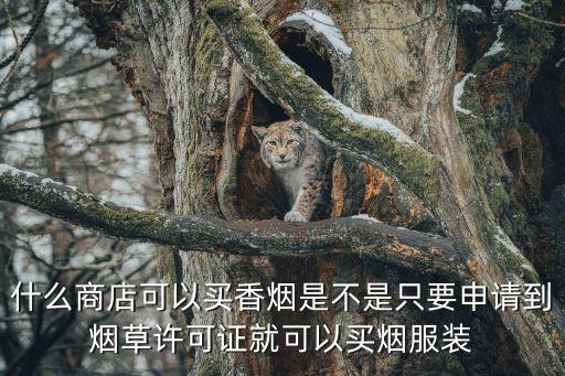 什么商店可以買香煙是不是只要申請到煙草許可證就可以買煙服裝