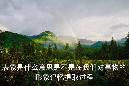表象是什么意思，表象的意思