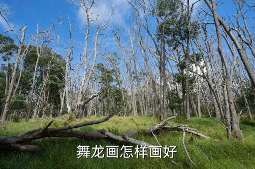 舞龍簡(jiǎn)筆畫，舞龍畫怎樣畫好