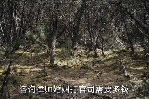 咨詢律師婚姻打官司需要多錢