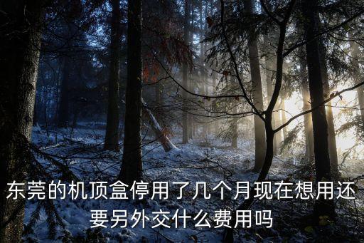 東莞的機(jī)頂盒停用了幾個(gè)月現(xiàn)在想用還要另外交什么費(fèi)用嗎